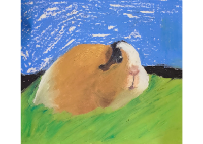 Young Artist Drawing & Painting (grades 3-7)